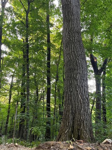 4015 Pike 9140, Louisiana, MO 63353