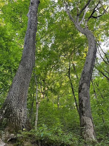 4015 Pike 9140, Louisiana, MO 63353