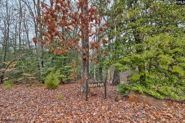 511 Lightning Bug, Lexington, SC 29072