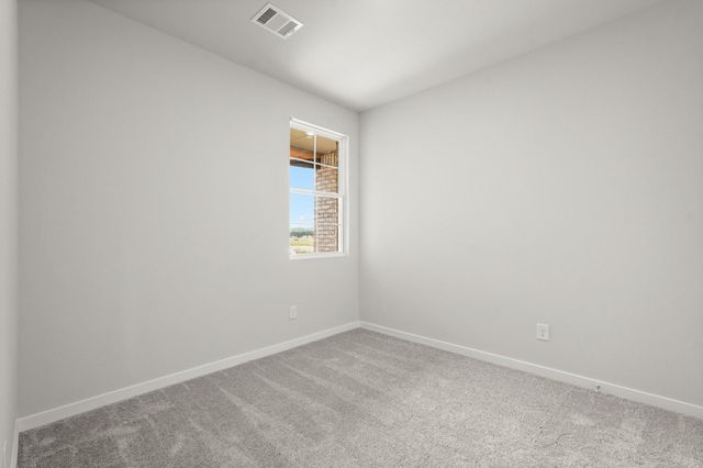 29123 Dandelion Sky Drive, Waller, TX 77484