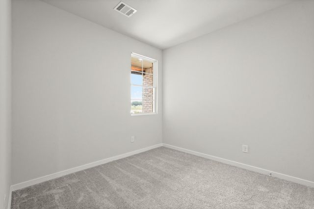 29123 Dandelion Sky Drive, Waller, TX 77484