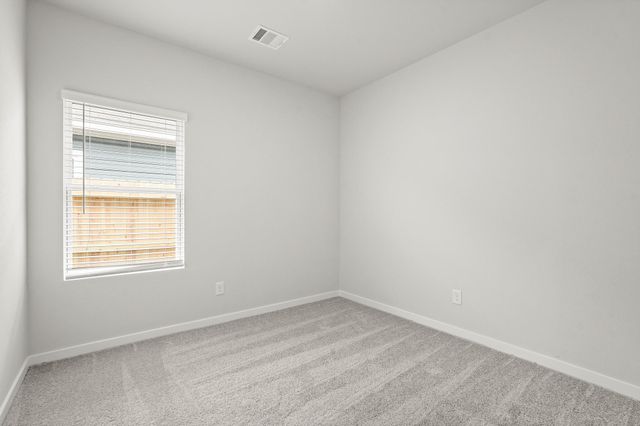 29123 Dandelion Sky Drive, Waller, TX 77484