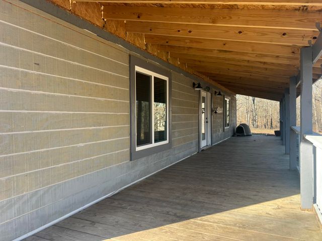 91 County Road 199a, Dora, MO 65637