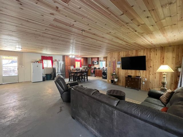 91 County Road 199a, Dora, MO 65637