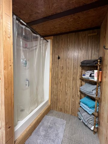 91 County Road 199a, Dora, MO 65637