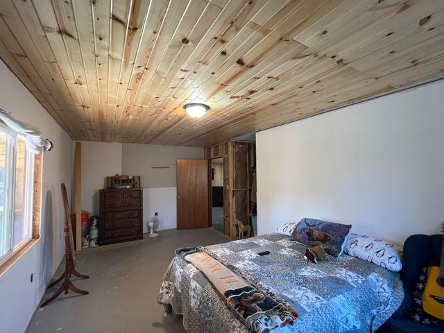 91 County Road 199a, Dora, MO 65637