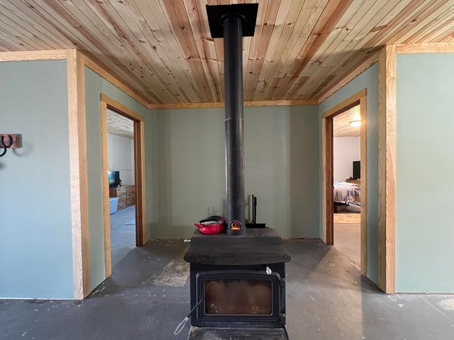 91 County Road 199a, Dora, MO 65637