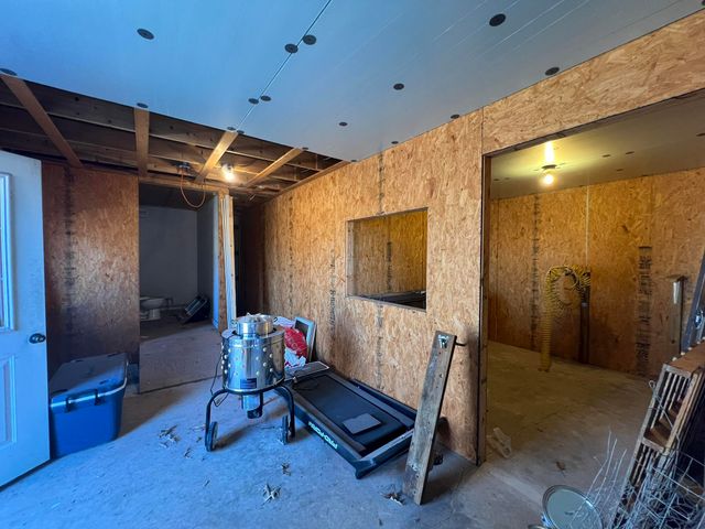 91 County Road 199a, Dora, MO 65637