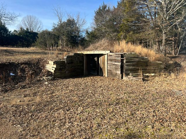 91 County Road 199a, Dora, MO 65637