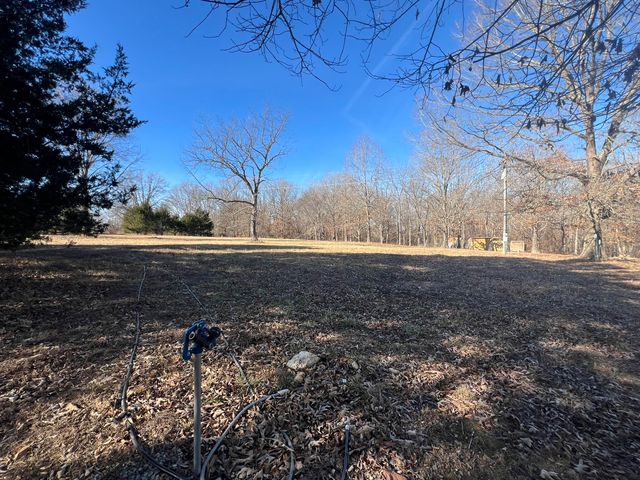 91 County Road 199a, Dora, MO 65637