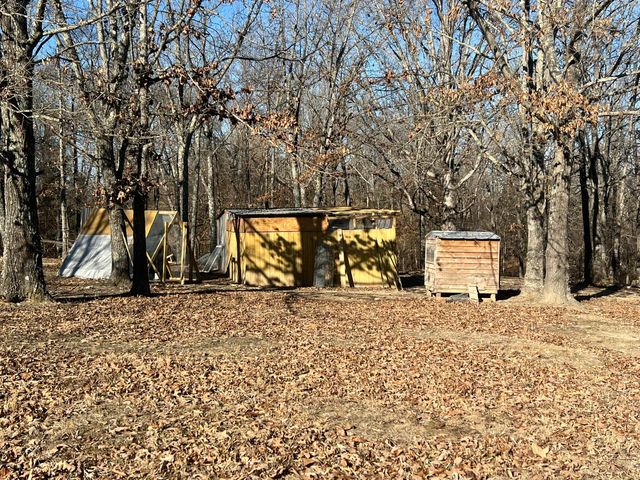 91 County Road 199a, Dora, MO 65637