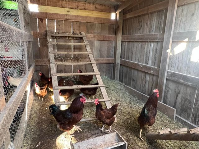 91 County Road 199a, Dora, MO 65637