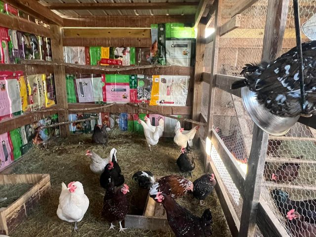 91 County Road 199a, Dora, MO 65637