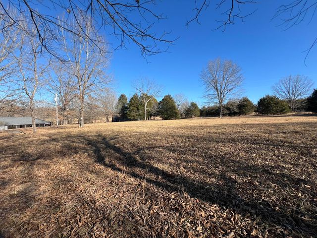 91 County Road 199a, Dora, MO 65637