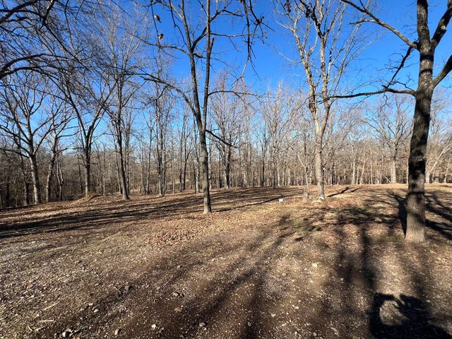 91 County Road 199a, Dora, MO 65637