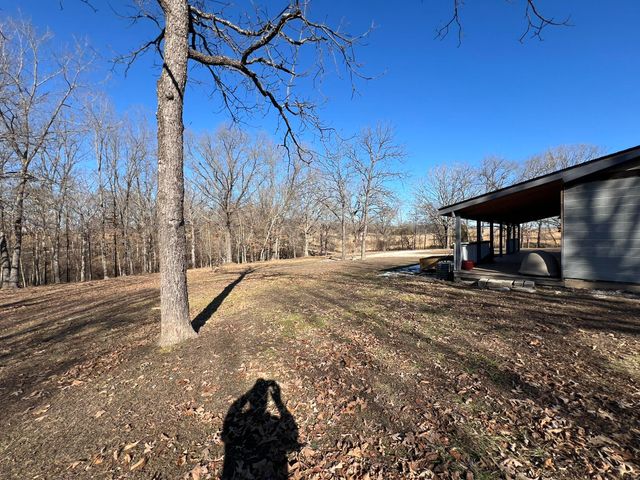 91 County Road 199a, Dora, MO 65637