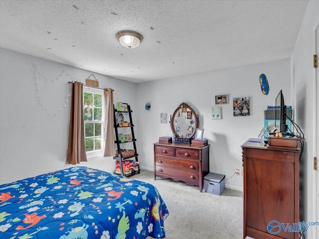 18692 Sulphur Creek Drive, Elkmont, AL 35620
