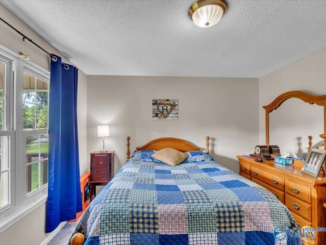 18692 Sulphur Creek Drive, Elkmont, AL 35620