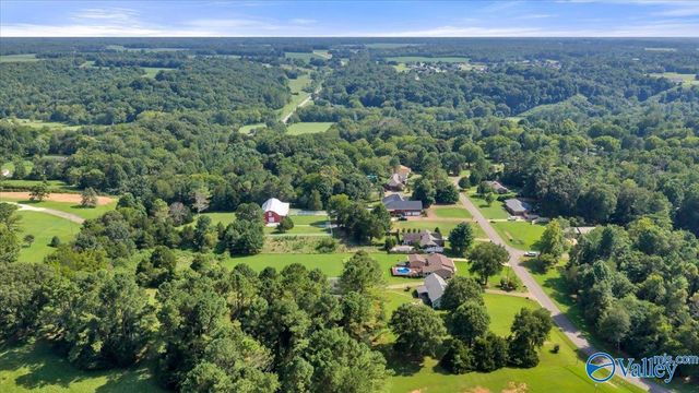 18692 Sulphur Creek Drive, Elkmont, AL 35620