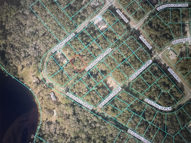 SEQUOIA LOOP TRACK, Ocklawaha, FL 32179