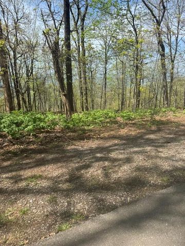7180 Ridgeview Drive, Big Canoe, GA 30143