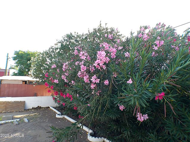 129 E Donna Drive, Queen Valley, AZ 85118