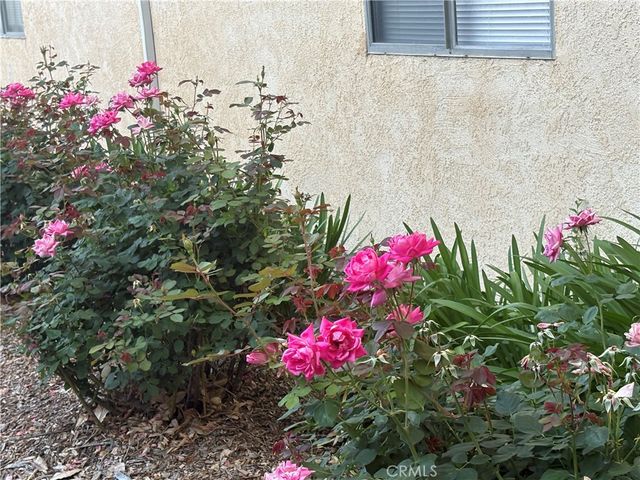 8105 Canby 4, Reseda, CA 91335