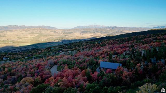 23000 N 14125 E, Fairview, UT 84629