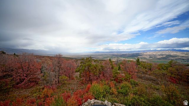 23000 N 14125 E, Fairview, UT 84629