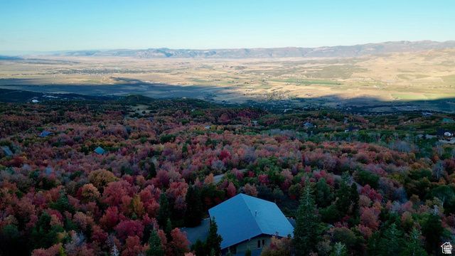 23000 N 14125 E, Fairview, UT 84629