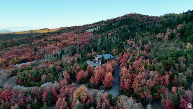 23000 N 14125 E, Fairview, UT 84629