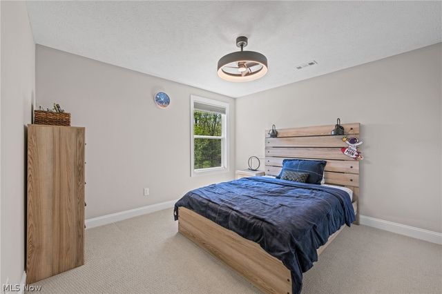 233 Lake Balaton Drive, Orange, OH 44128