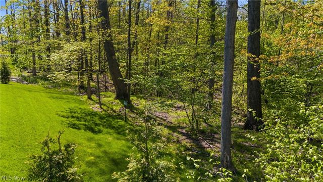 233 Lake Balaton Drive, Orange, OH 44128