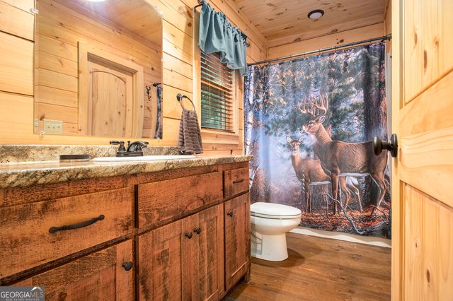 680 Hidden Lake Drive, Cherry Log, GA 30522