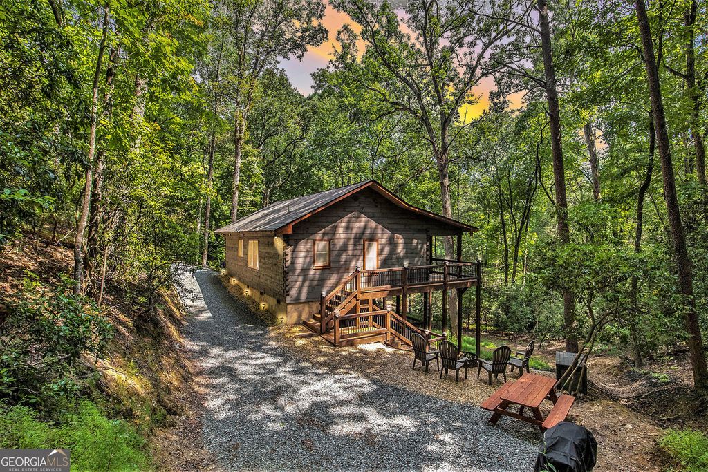 680 Hidden Lake Drive, Cherry Log, GA 30522
