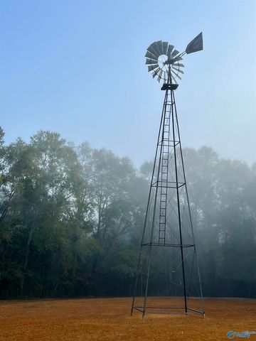 262 County Road 664, Coffee Springs, AL 36318