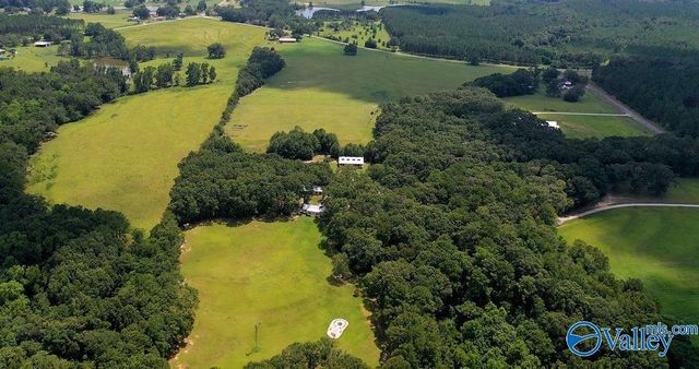 262 County Road 664, Coffee Springs, AL 36318