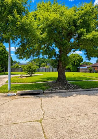 12914 White Heather Drive, Houston, TX 77045