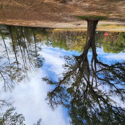 0 Campbell Thickett Road, Ridgeville, SC 29472