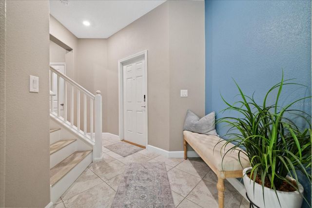 10029 CORSO MILANO DRIVE, Tampa, FL 33625