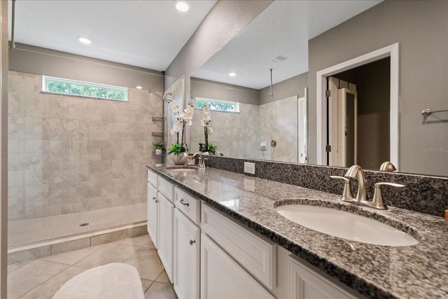 10029 CORSO MILANO DRIVE, Tampa, FL 33625