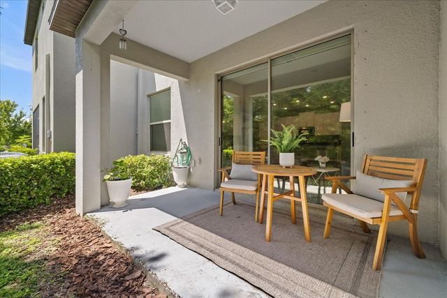 10029 CORSO MILANO DRIVE, Tampa, FL 33625
