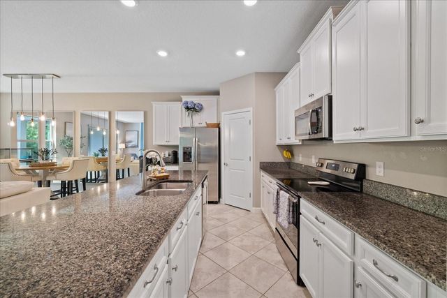 10029 CORSO MILANO DRIVE, Tampa, FL 33625