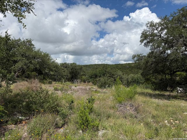 1417 POWDER RIDGE RD, New Braunfels, TX 78132