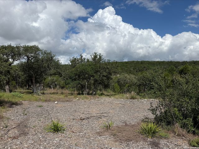 1417 POWDER RIDGE RD, New Braunfels, TX 78132