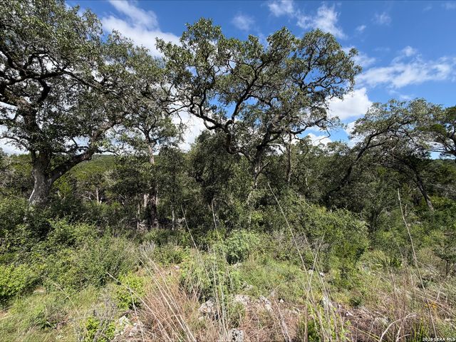 1417 POWDER RIDGE RD, New Braunfels, TX 78132