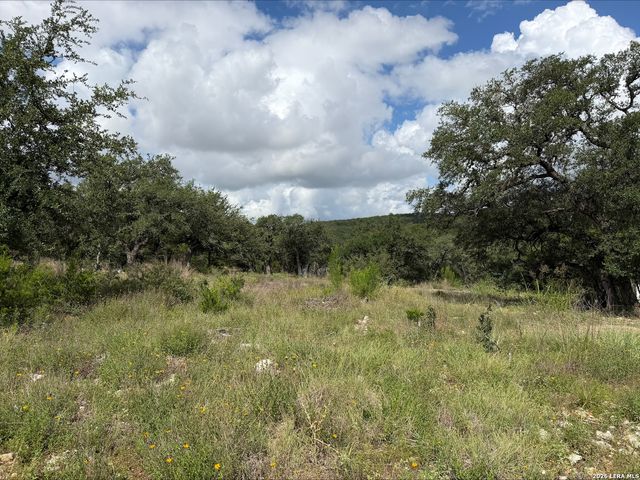 1417 POWDER RIDGE RD, New Braunfels, TX 78132