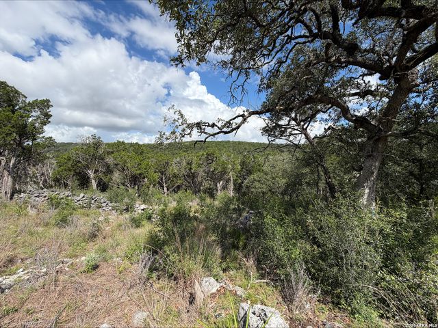 1417 POWDER RIDGE RD, New Braunfels, TX 78132