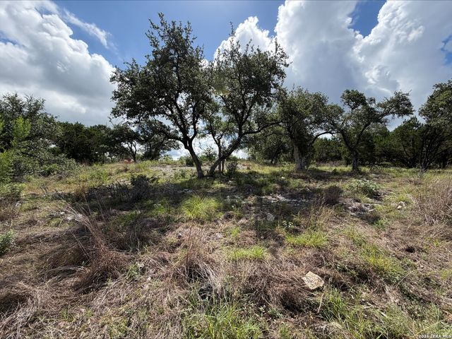 1417 POWDER RIDGE RD, New Braunfels, TX 78132