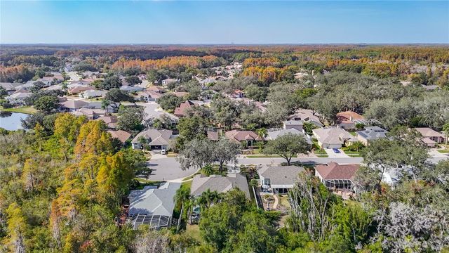 8543 BASUTO DRIVE, Trinity, FL 34655